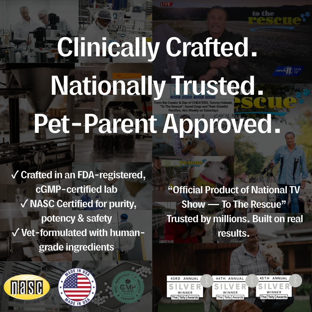 Helps Rescue Dogs – As Seen on TV