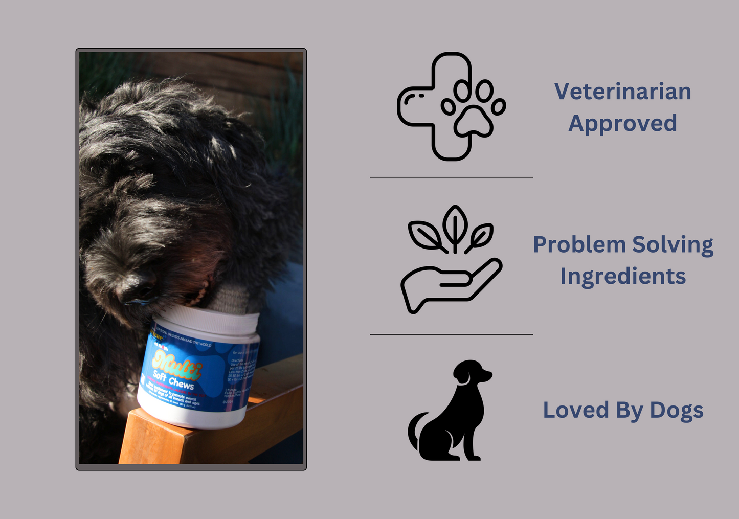 MultiVitamin Chew