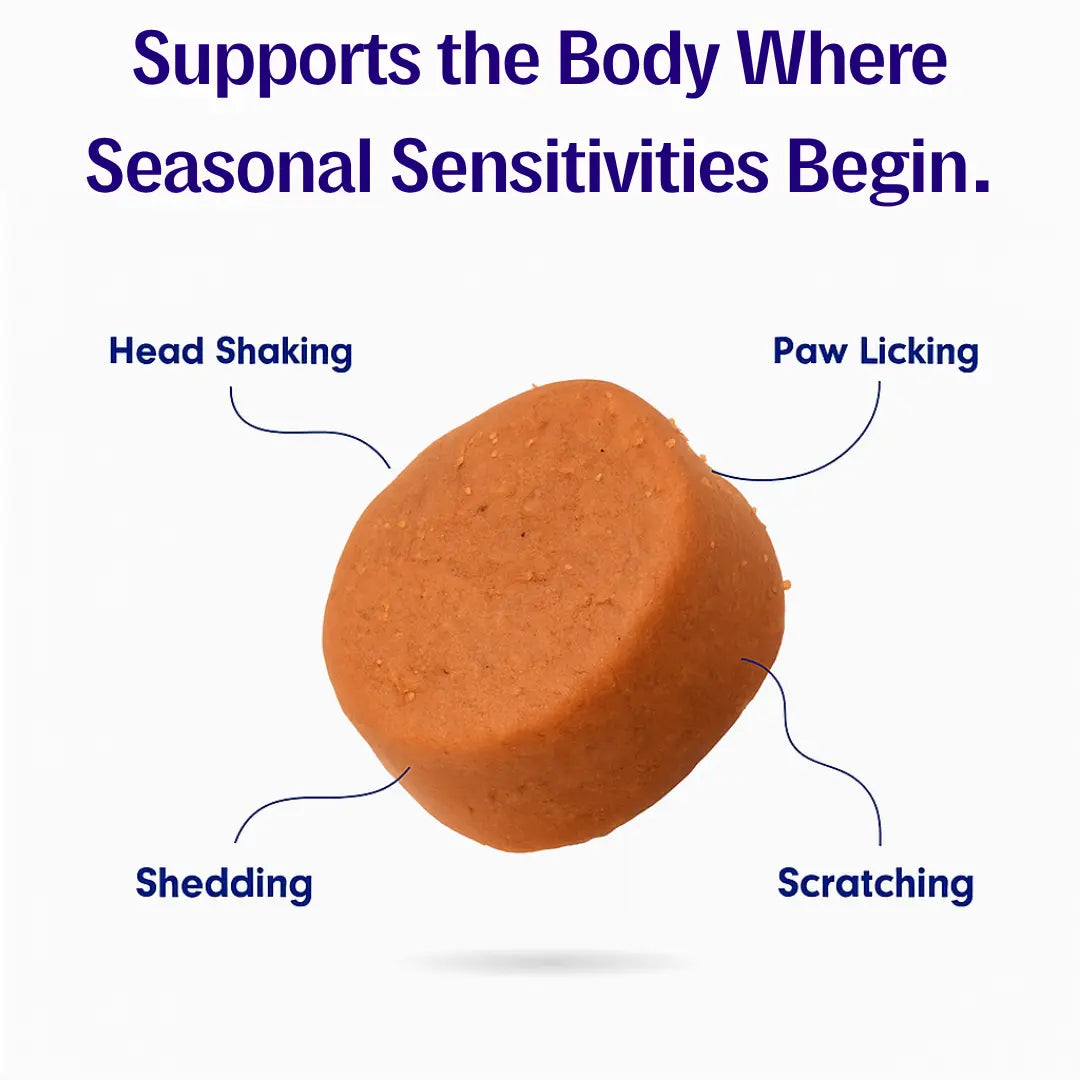 Rescue™ Allergy Chew