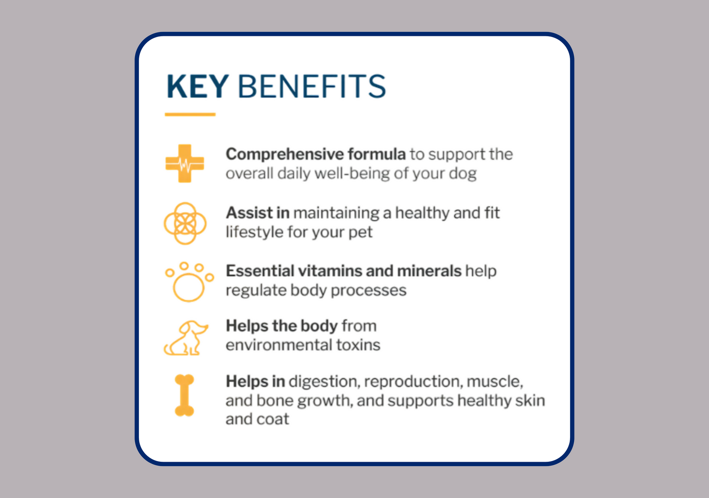 MultiVitamin Chew
