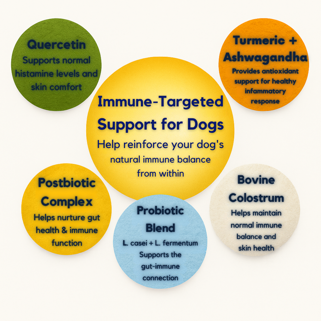 Rescue™ Allergy Chew