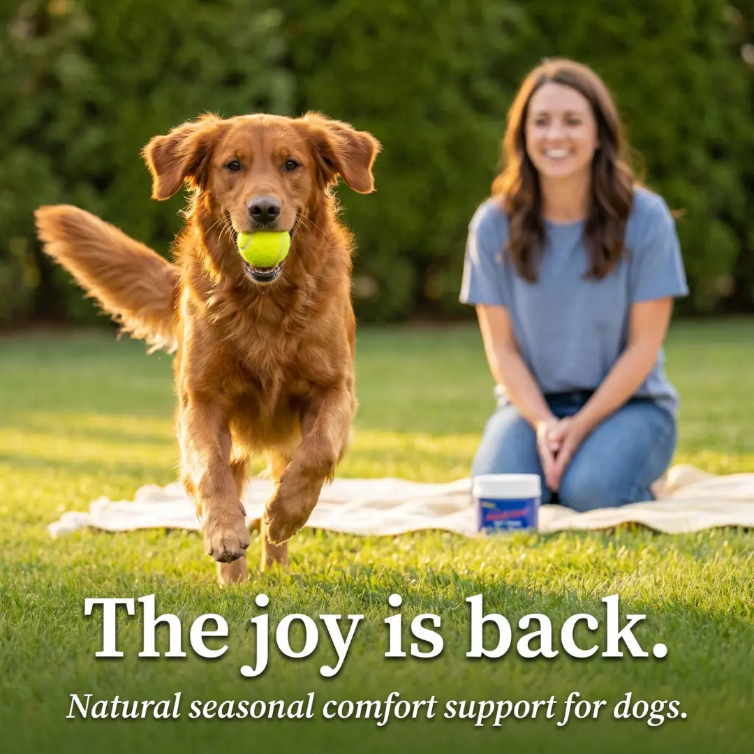 Rescue™ Allergy Chew
